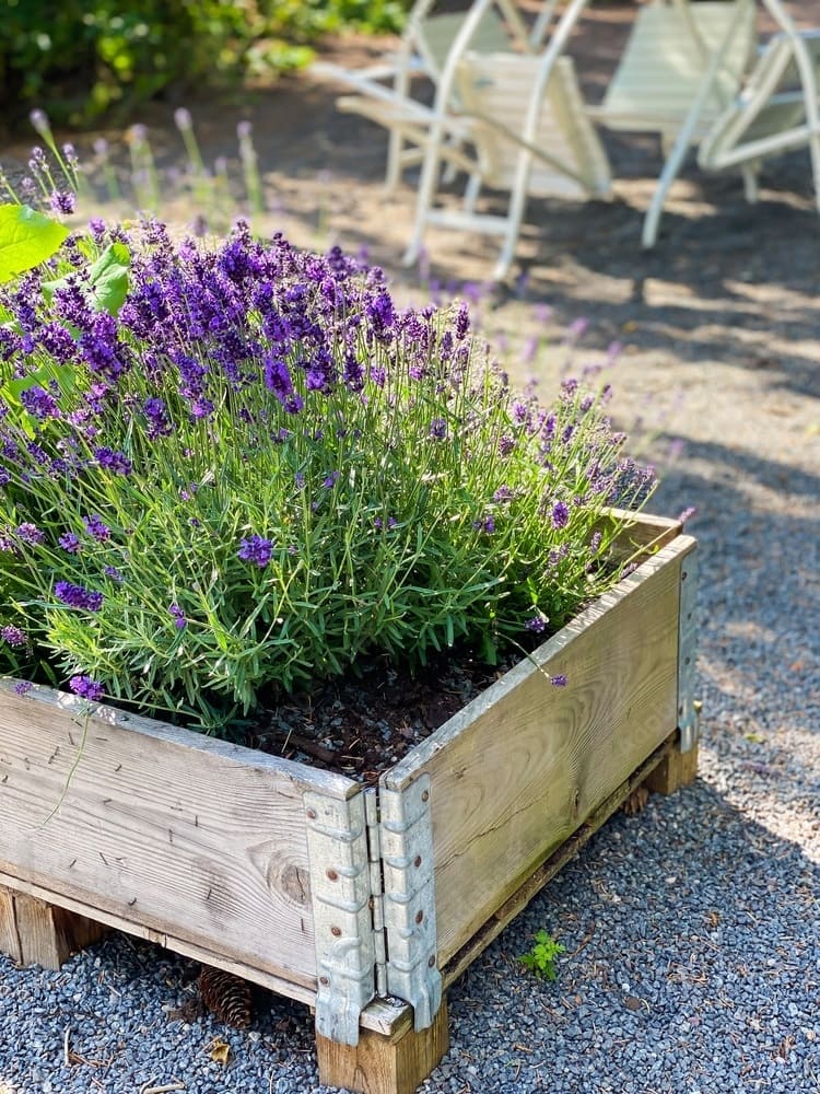 Gardening_solution_1